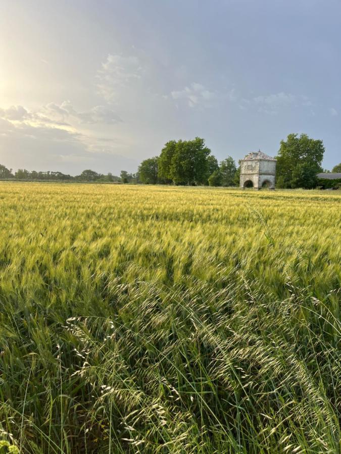 Suite A La Villa Cattus Bram Exteriör bild